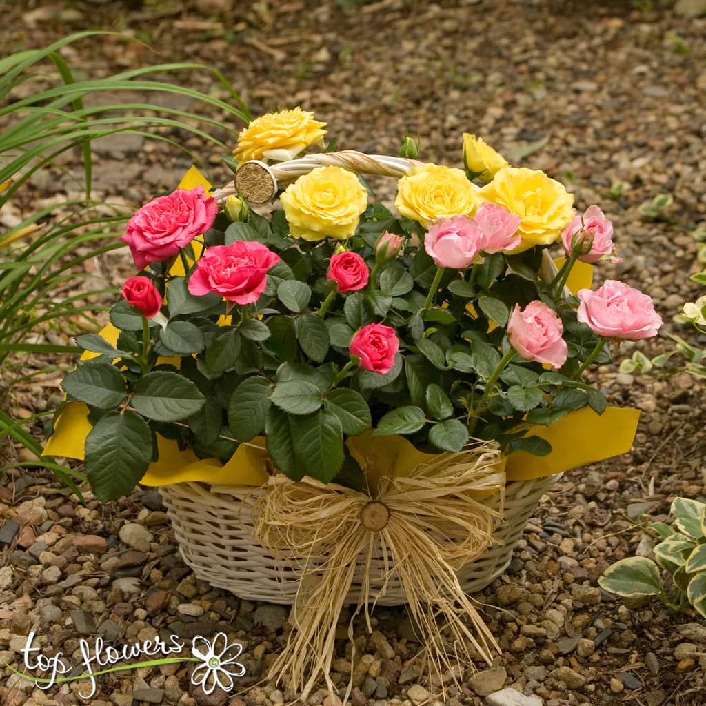 Кошничка с рози | Top Flowers.com