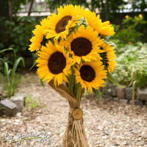 Armful Sunflowers