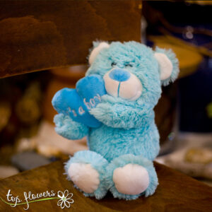 Blue Teddy bear | 21 cm. |