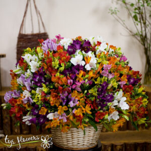 Basket of 101 chrysanthemums