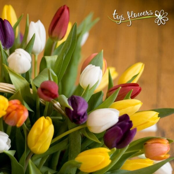 Basket 101 tulips | Ah the tulip