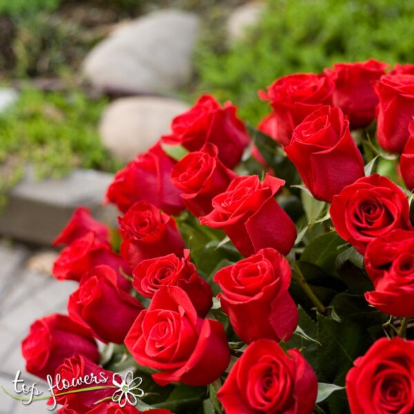 Basket 101 Red Roses