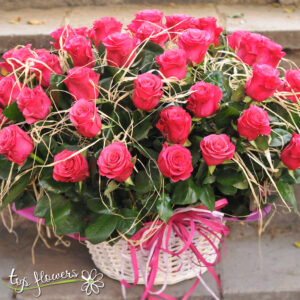 Basket of 51 cyclamen roses