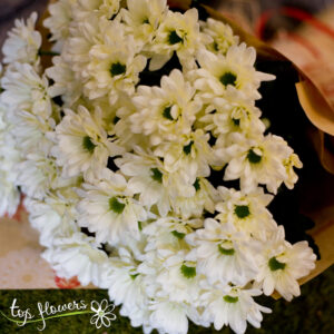 Bouquet of Chrysanthemums | White