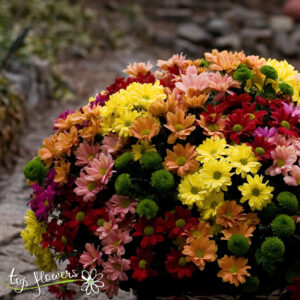 Basket of 51 chrysanthemums