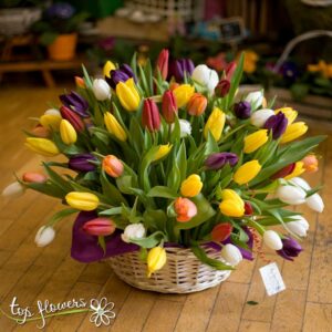 101 assorted tulips | Basket