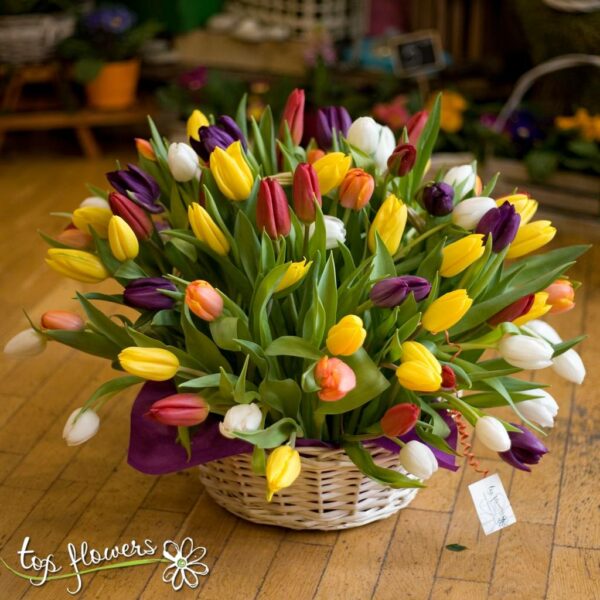 101 assorted tulips | Basket