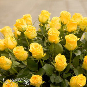 Basket of 51 yellow roses