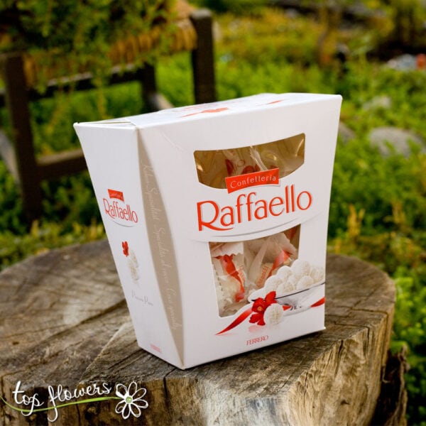 Chocolates Raffaello | 230 gr.