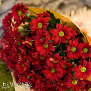 Bouquet of Chrysanthemums | Red