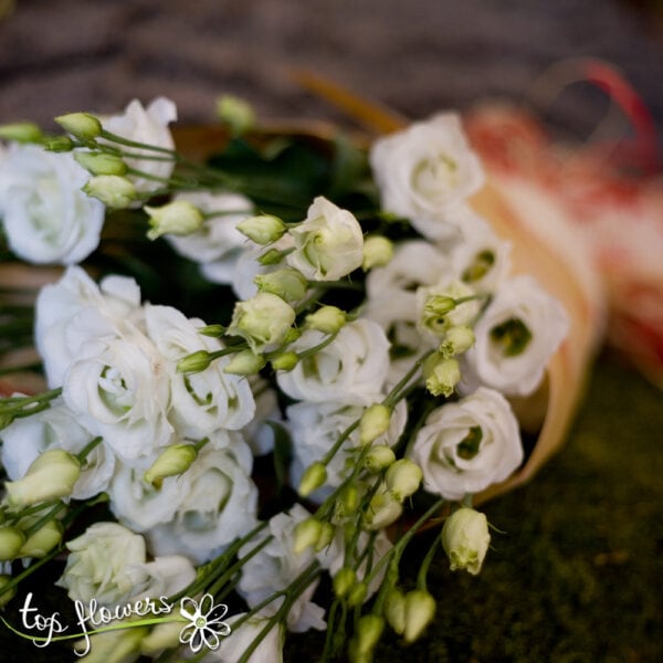 Bouquet of Lisianthus | White