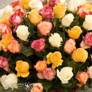 Basket 101 Roses Mix