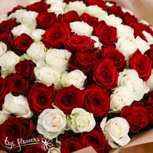 101 red and white roses