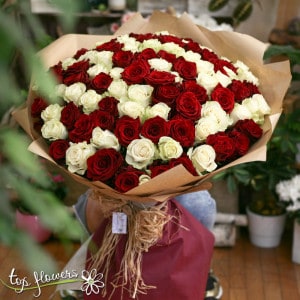 101 red and white roses