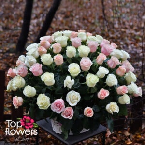 BASKET 101 WHITE AND PINK ROSES