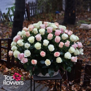 BASKET 101 WHITE AND PINK ROSES