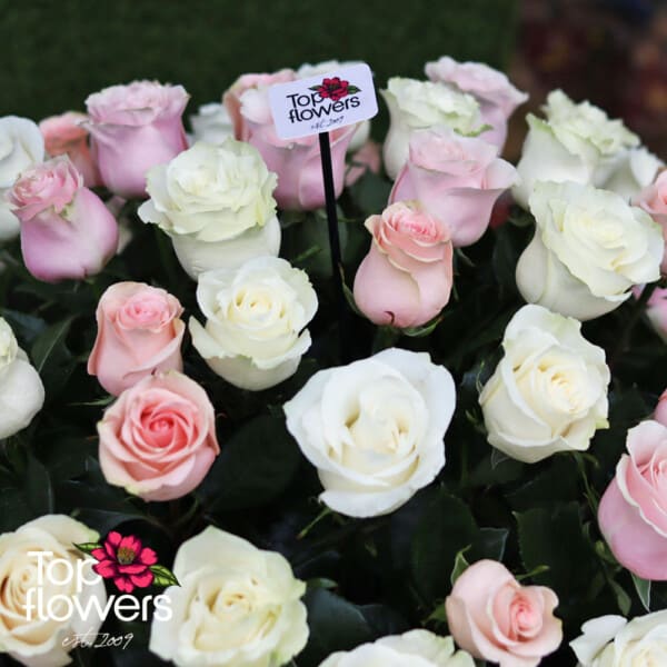 BASKET 101 WHITE AND PINK ROSES