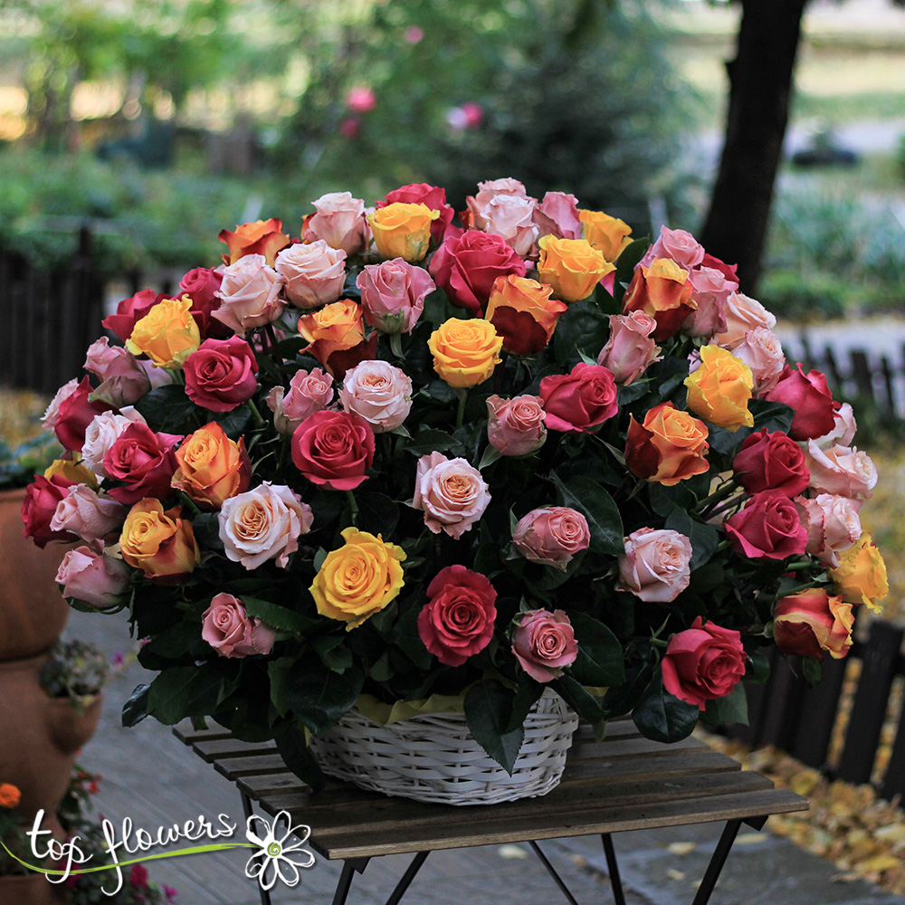 Basket 101 Roses in pastel gamma