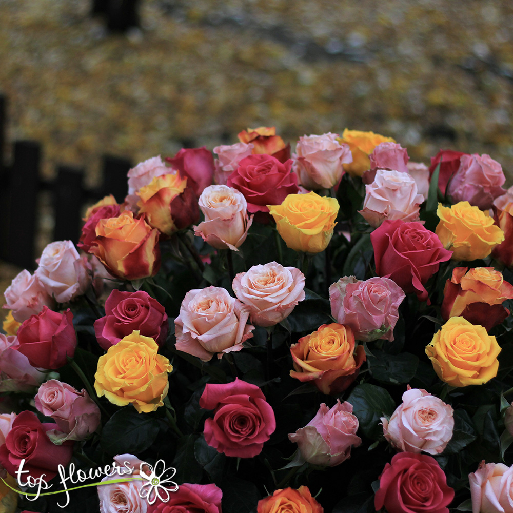 Basket 101 Roses in pastel gamma