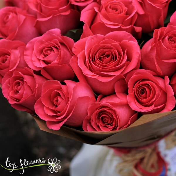 31 Cyclamen roses | Bouquet