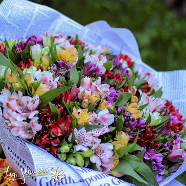Bouquet 51 Colorful Alstromeries