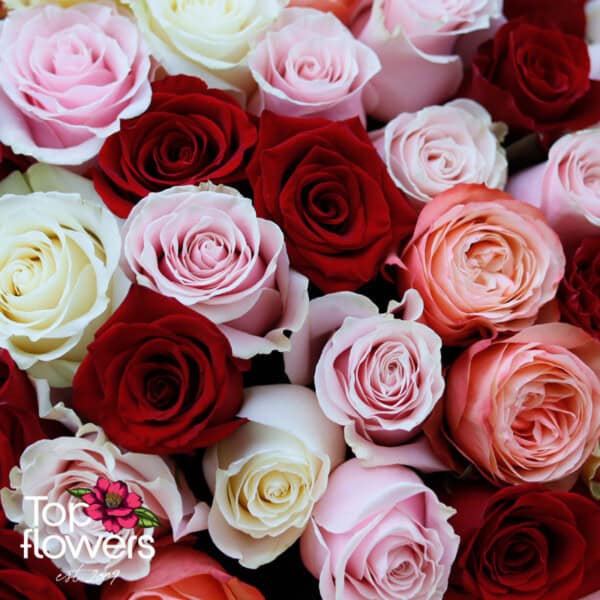 Bouquet 51 Roses﻿ mix | Warm range