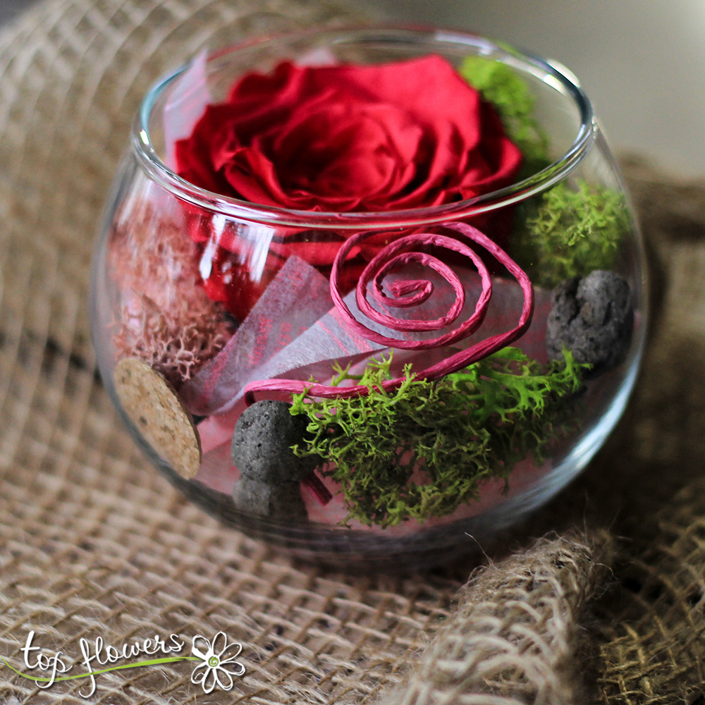 Eternal rose in glass sphere | CYCLAMEN