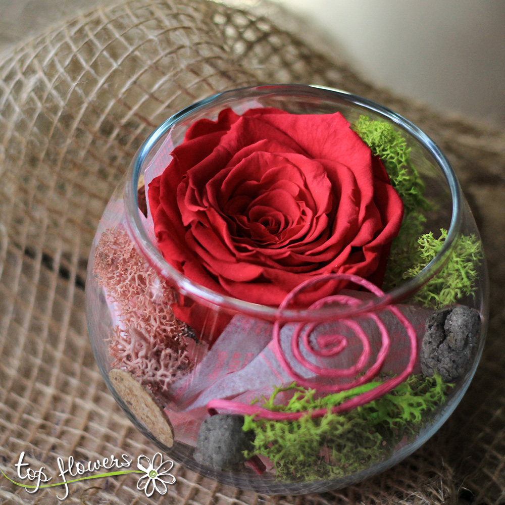 Eternal rose in glass sphere | CYCLAMEN