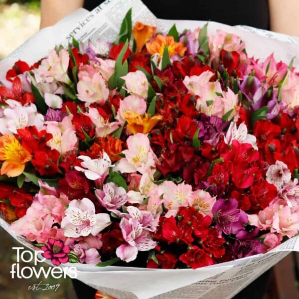 Round bouquet of alstroemeria