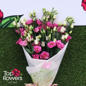 Classic bouquet Eustomy | Pink
