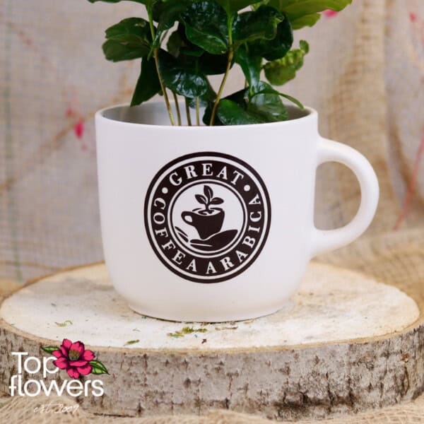 Decorative coffee - Image 5