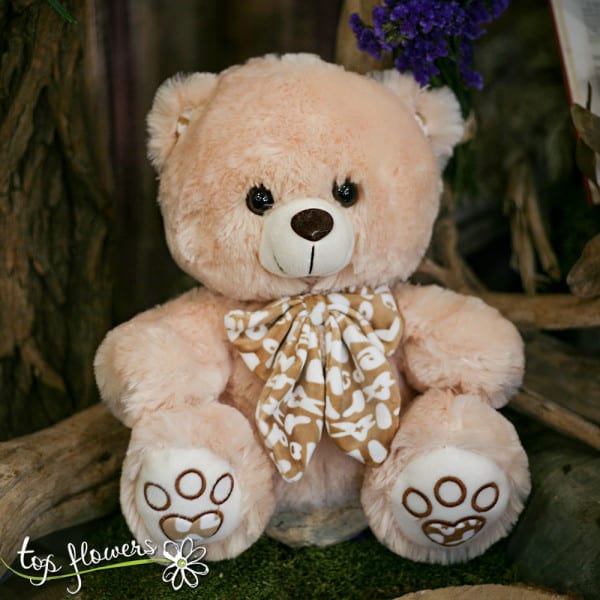 Teddy bear | 30 cm. |