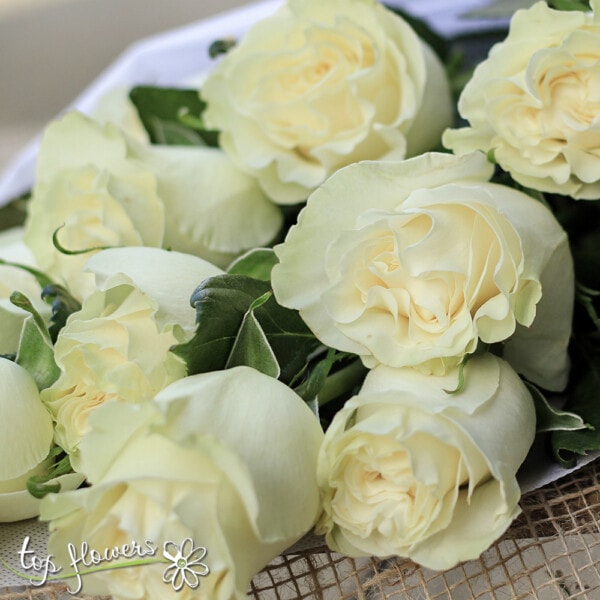 Classic bouquet | White roses