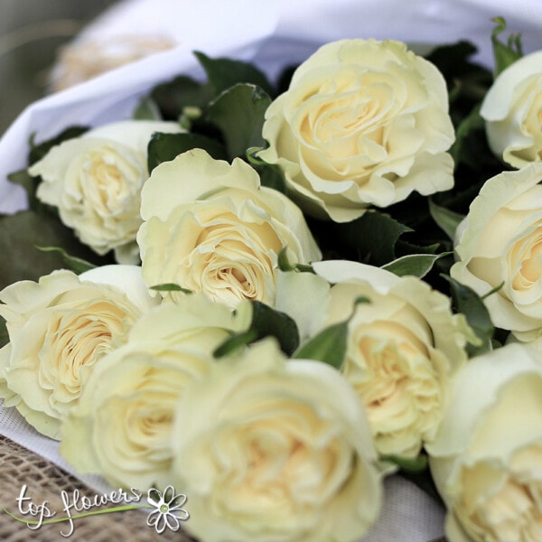 Classic bouquet | White roses