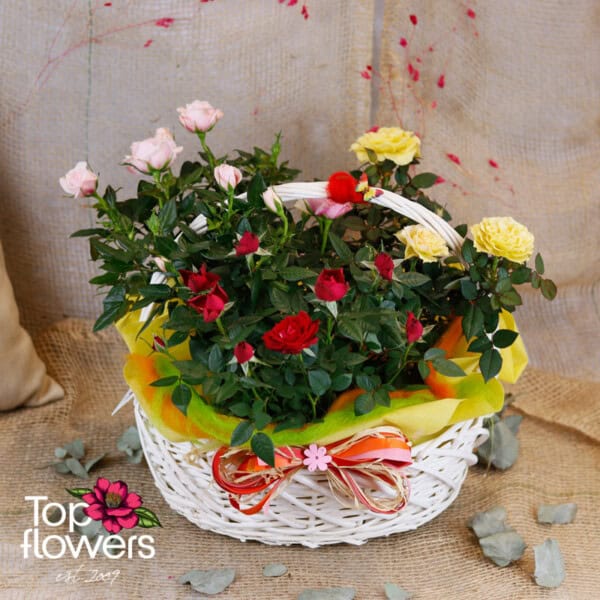 Roses basket