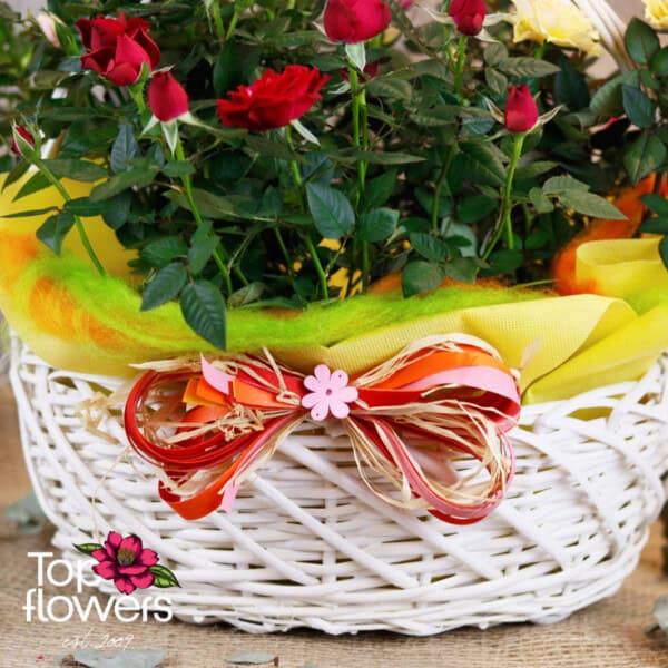 Roses basket