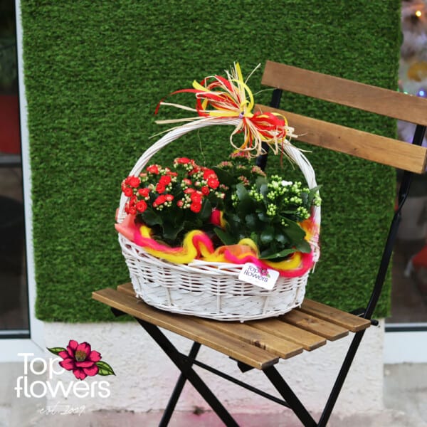 Basket with Kalanchoe