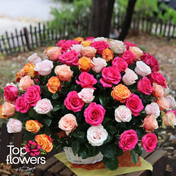 Basket 101 Roses in pastel gamma