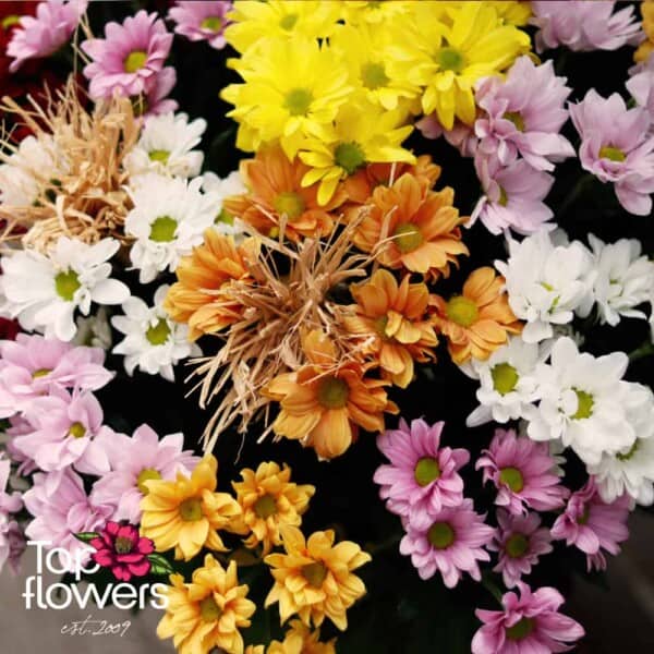 51 multicolored chrysanthemums | Basket