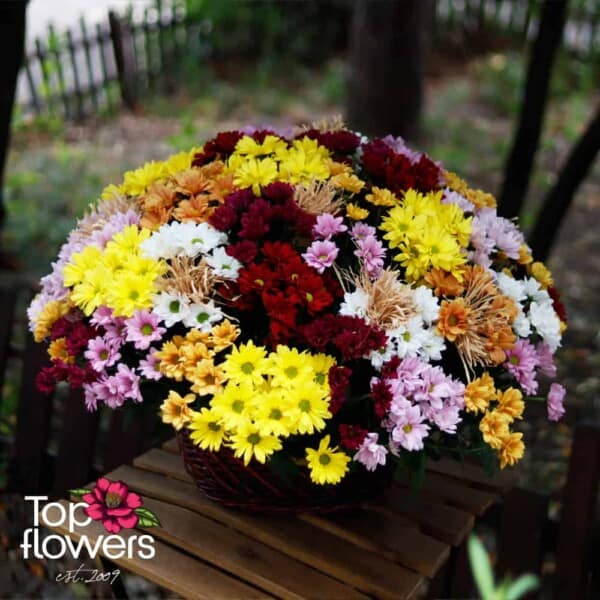 51 multicolored chrysanthemums | Basket