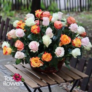 Basket of 51 multicolored roses mix