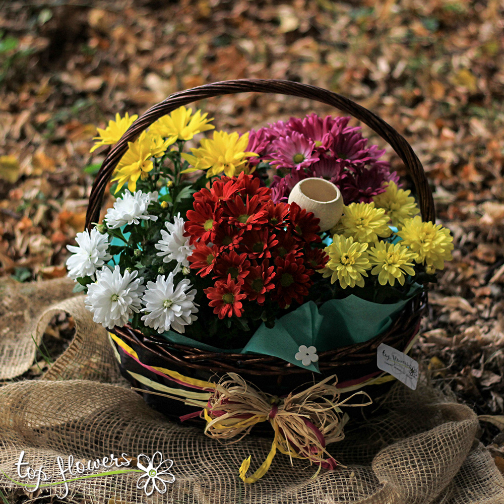 Basket of Chrysanthemums