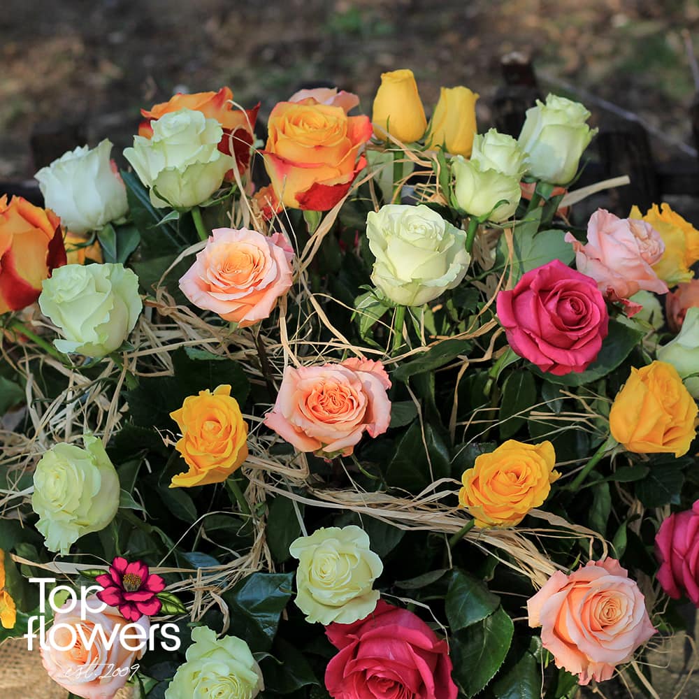 Basket of 51 multicolored roses mix