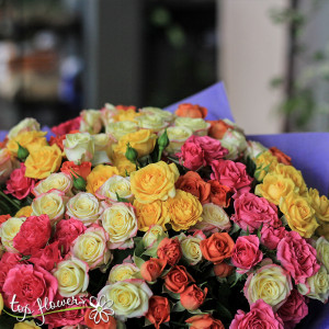 31 mini roses | Bouquet