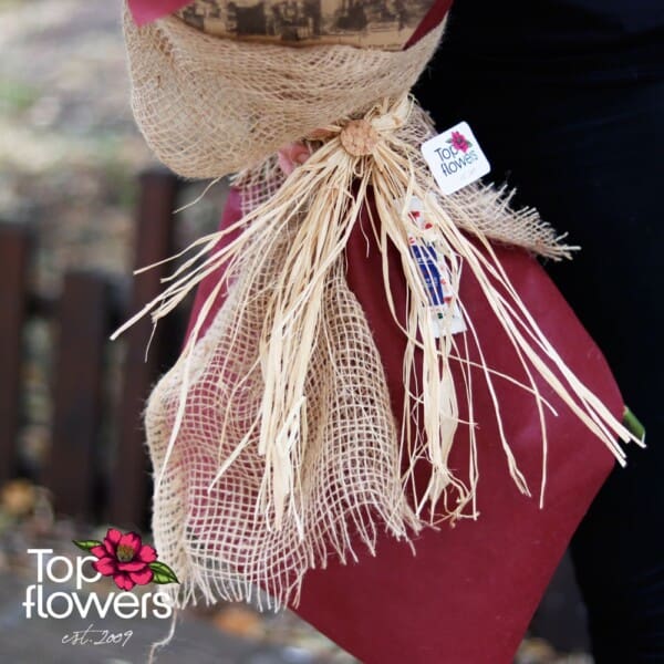 31 red roses with greenery | Bouquet