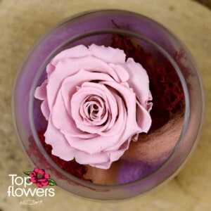 Eternal rose in glass sphere | PINK