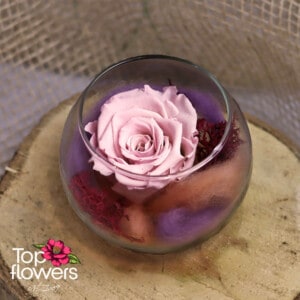 Eternal rose in glass sphere | PINK
