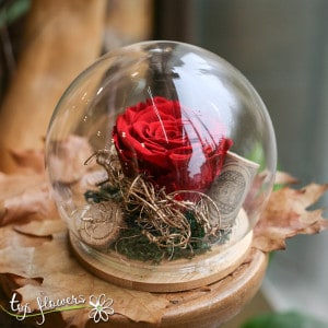 Eternal rose in glass sphere | Red