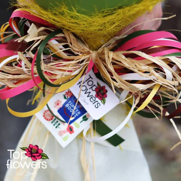 Magic | Boquet