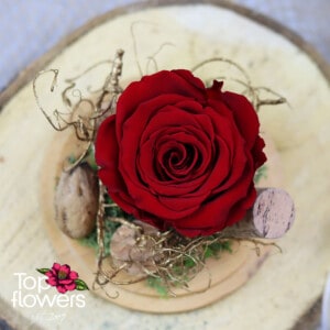 Вечна роза в стъклена сфера с дървена основа | ЧЕРВЕНА